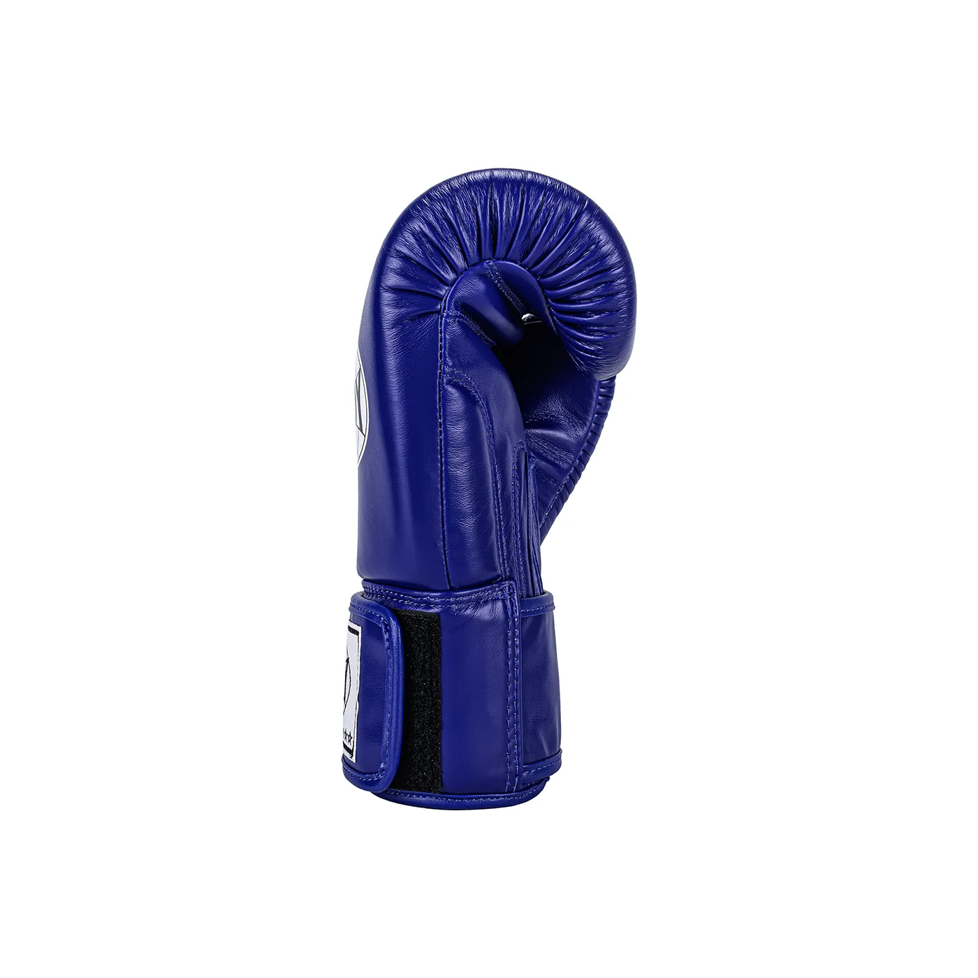 Windy Blue Boxing Gloves right side view