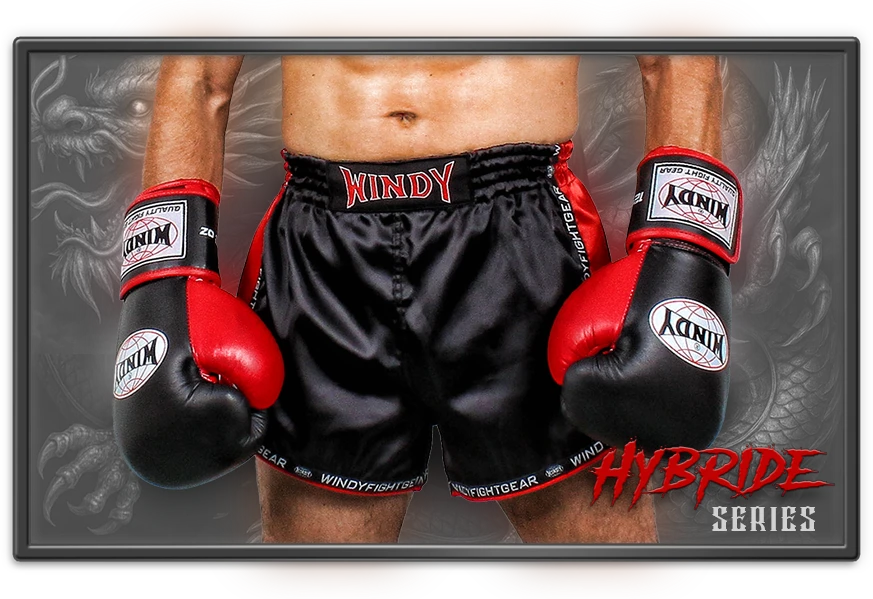 Windy Muay Thai Shorts Display